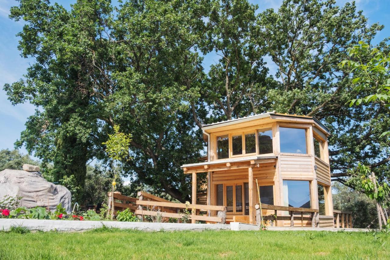 Romantic Tree House Kato Pavliana Exterior photo